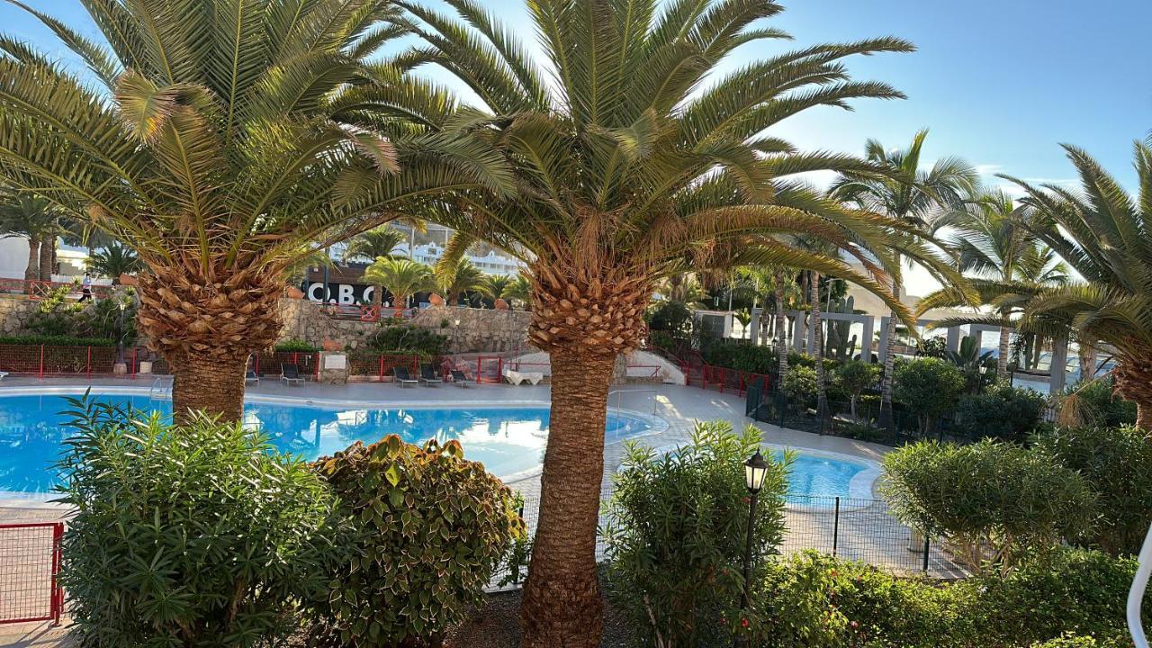 皮拉亚德尔库拉Playa Del Cura别墅 外观 照片